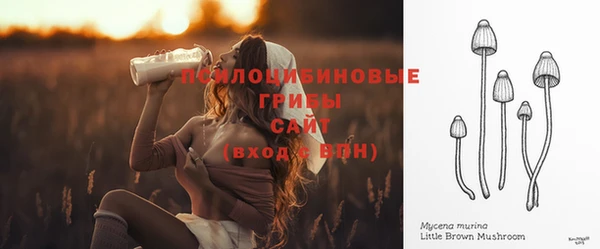 ГАЛЛЮЦИНОГЕННЫЕ ГРИБЫ Абинск