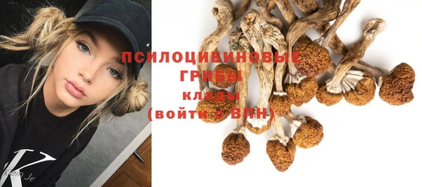 ГАЛЛЮЦИНОГЕННЫЕ ГРИБЫ Абинск