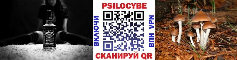Псилоцибиновые грибы GOLDEN TEACHER мега ссылка Каменск-Шахтинский
